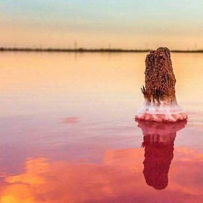 722cc大发彩神下载手机版