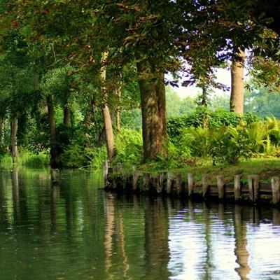 电玩城金鲨银鲨