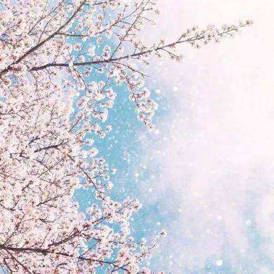 天博下载地址截图