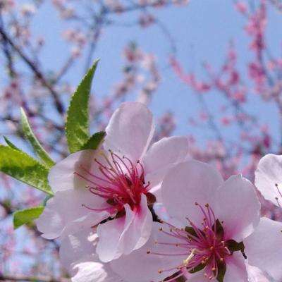 澳客APP下载官网手机app下载