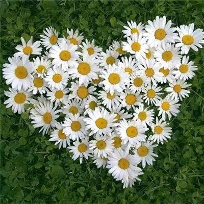 必博app下载地址